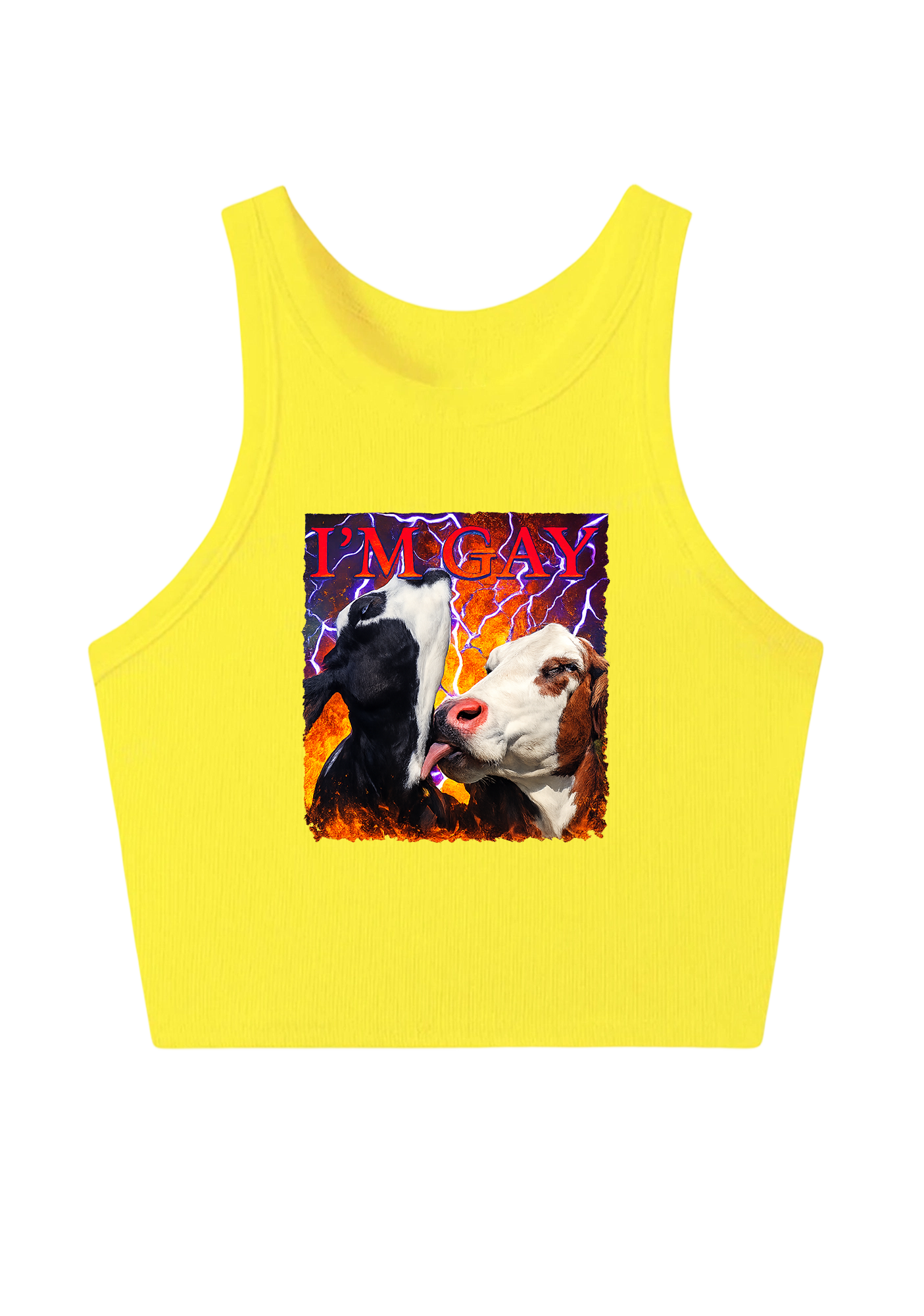 I'm Gay Y2K Crop Tank Top