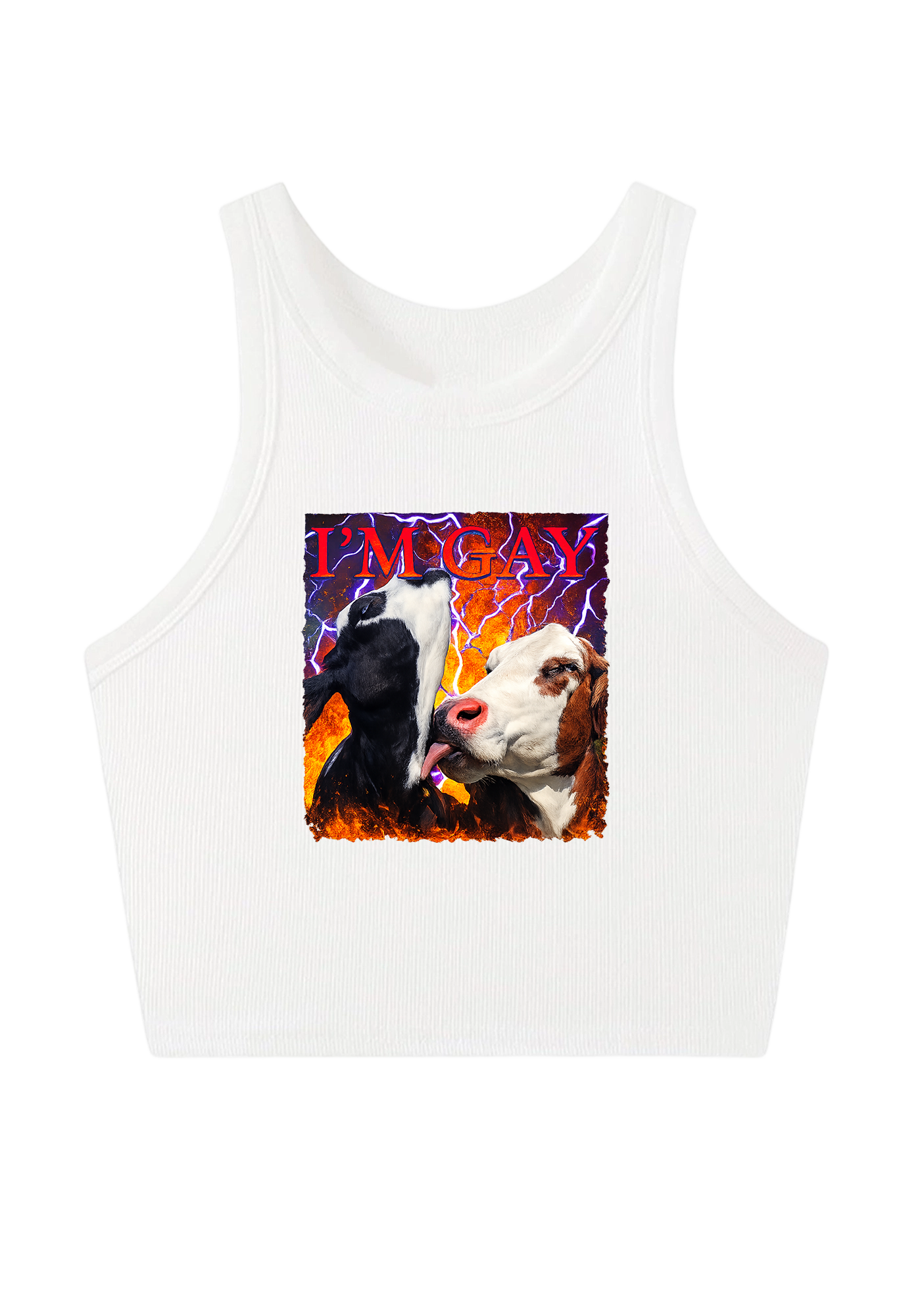 I'm Gay Y2K Crop Tank Top