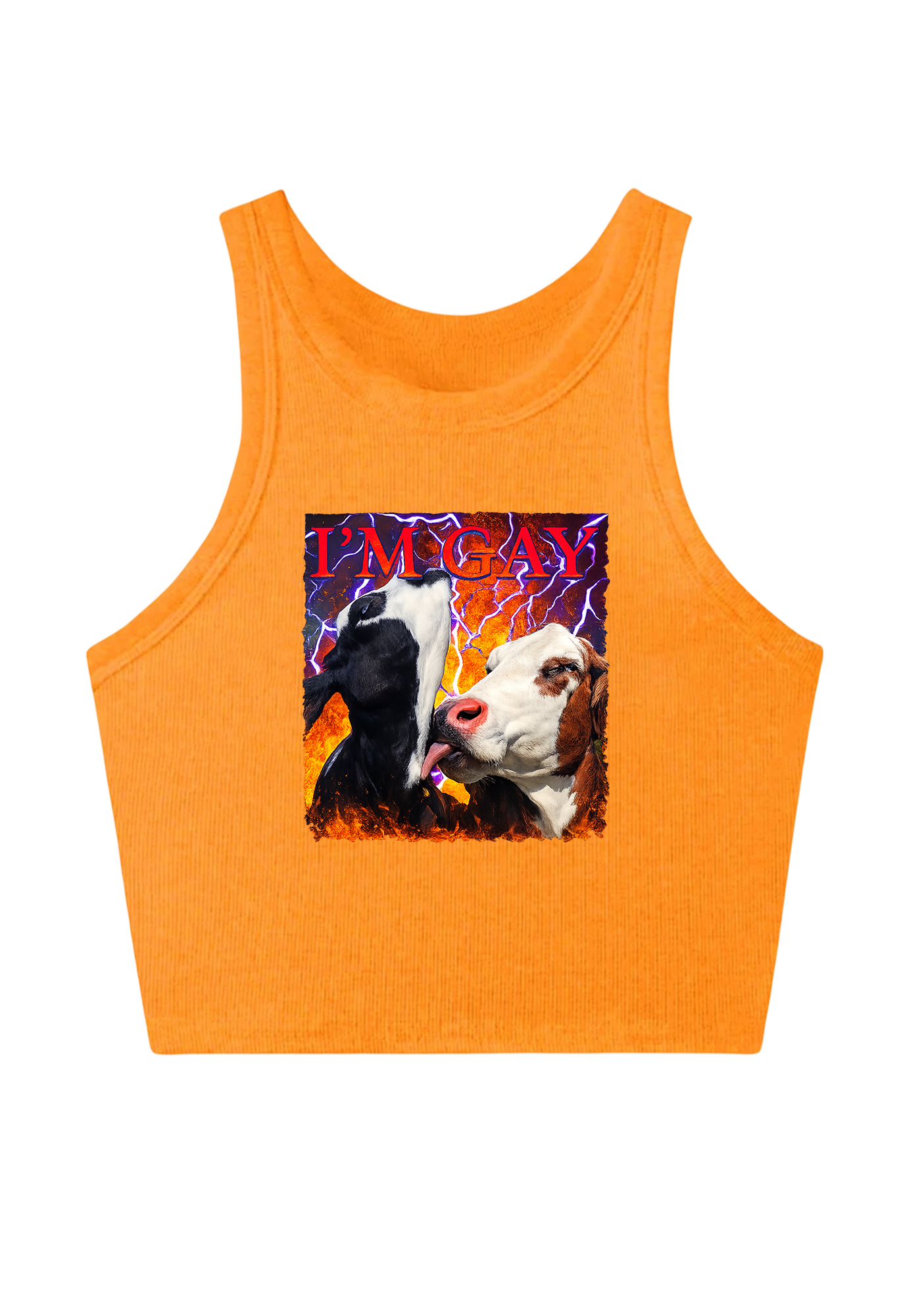 I'm Gay Y2K Crop Tank Top