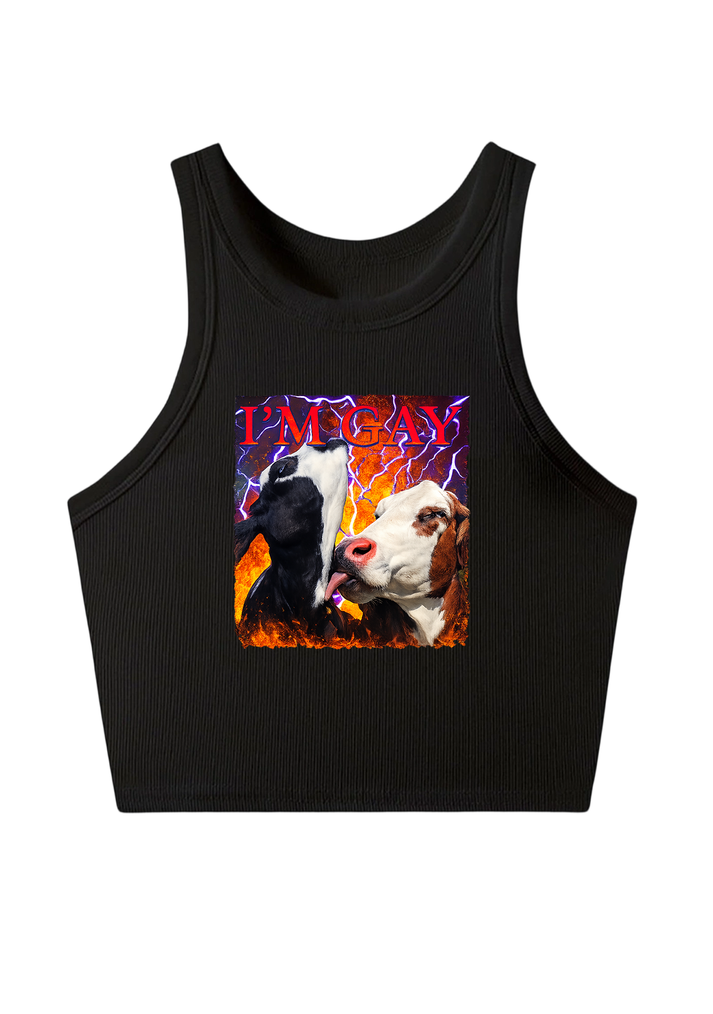I'm Gay Y2K Crop Tank Top