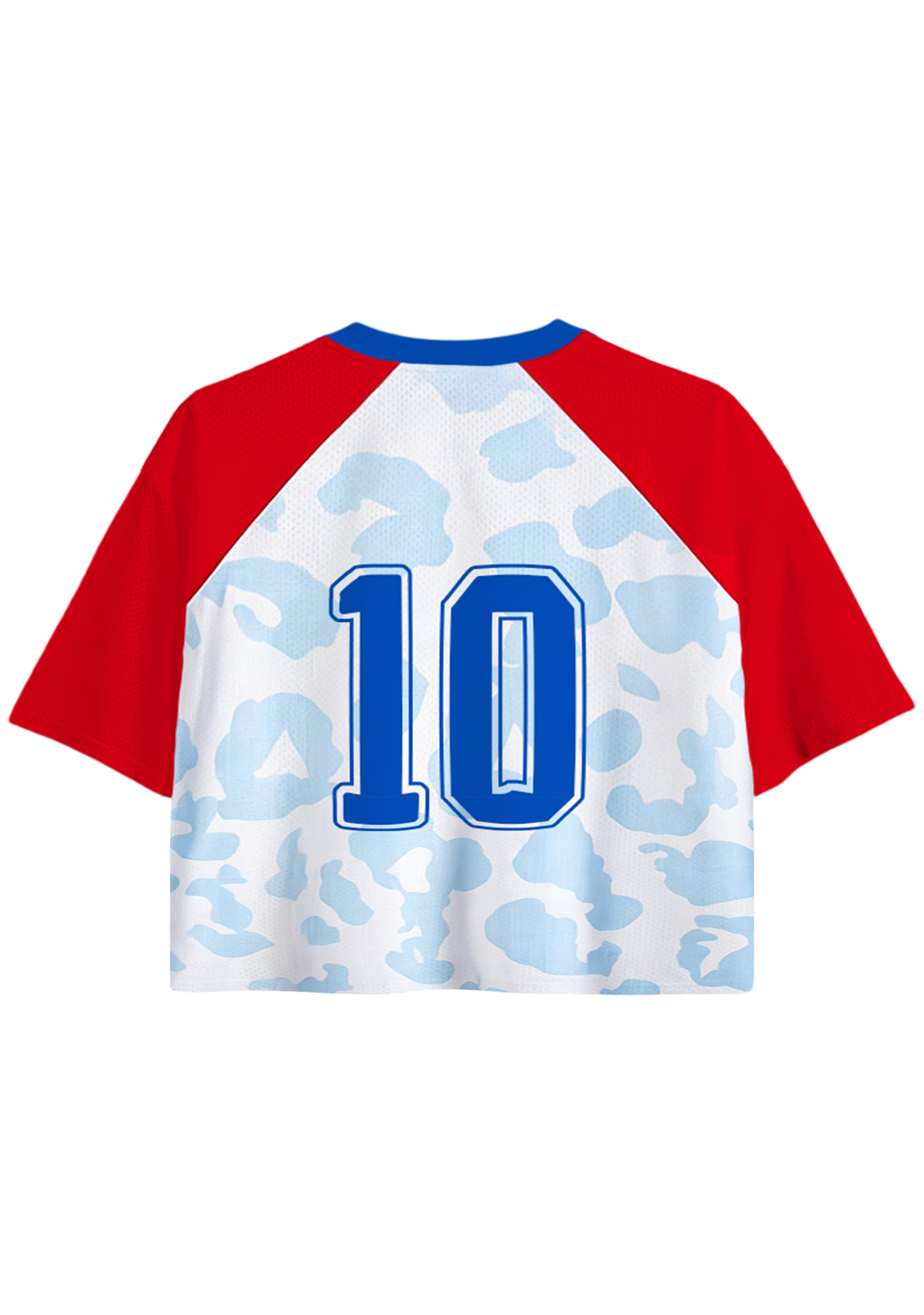 Red Raglan Blue Leopard Print Cropped Jersey Shirt