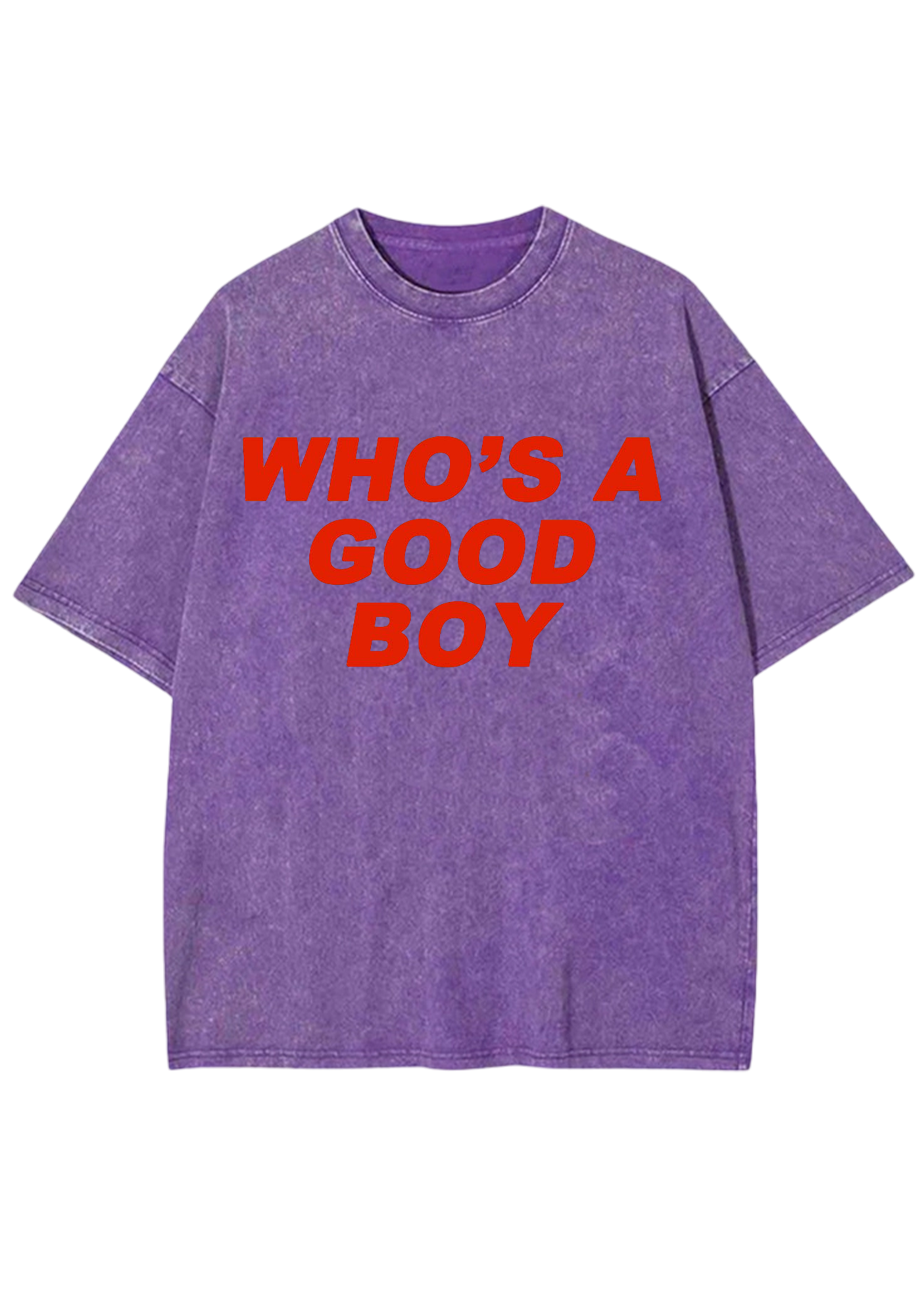 Who's A Good Boy Y2K Washed Tee