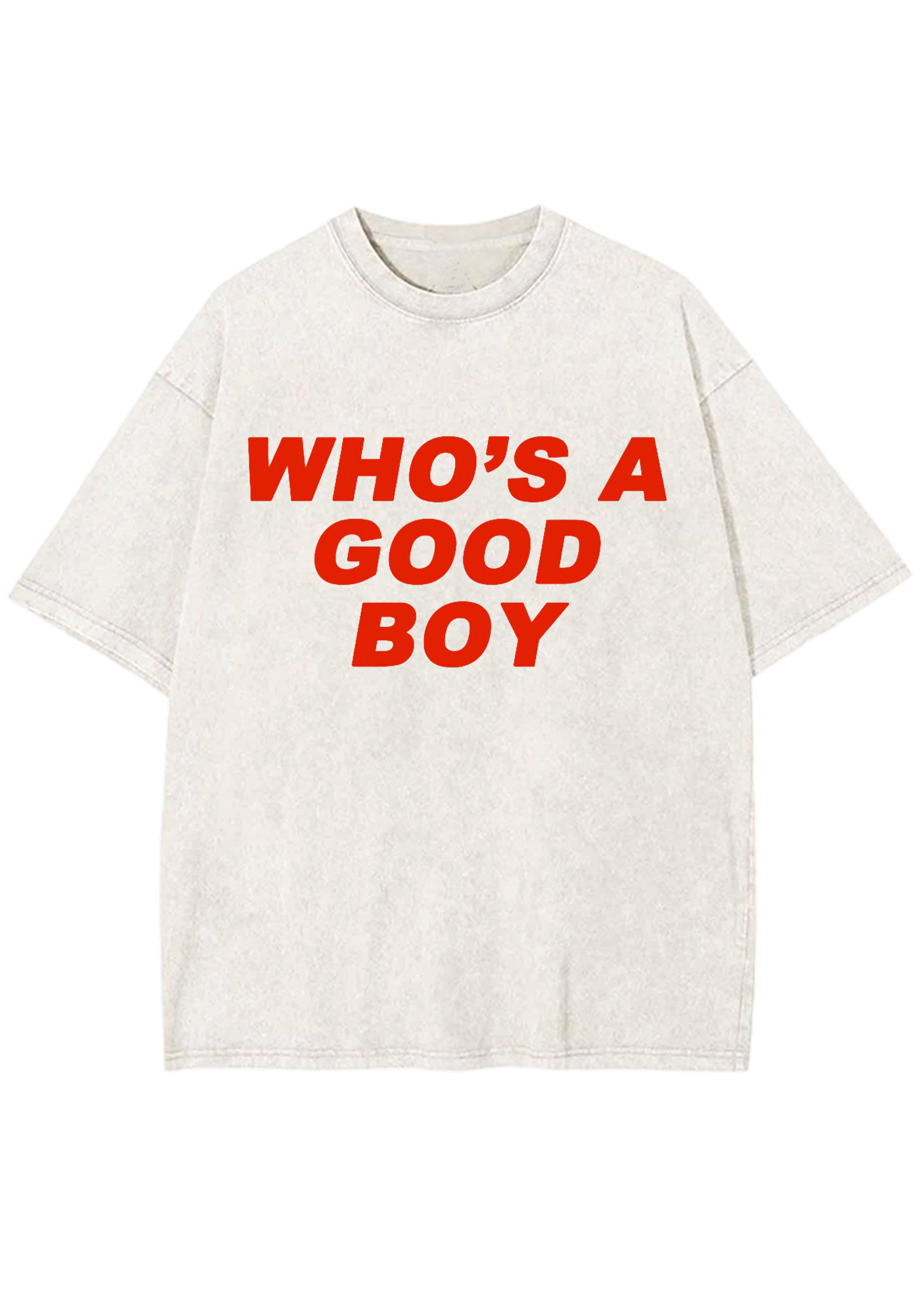Who's A Good Boy Y2K Washed Tee