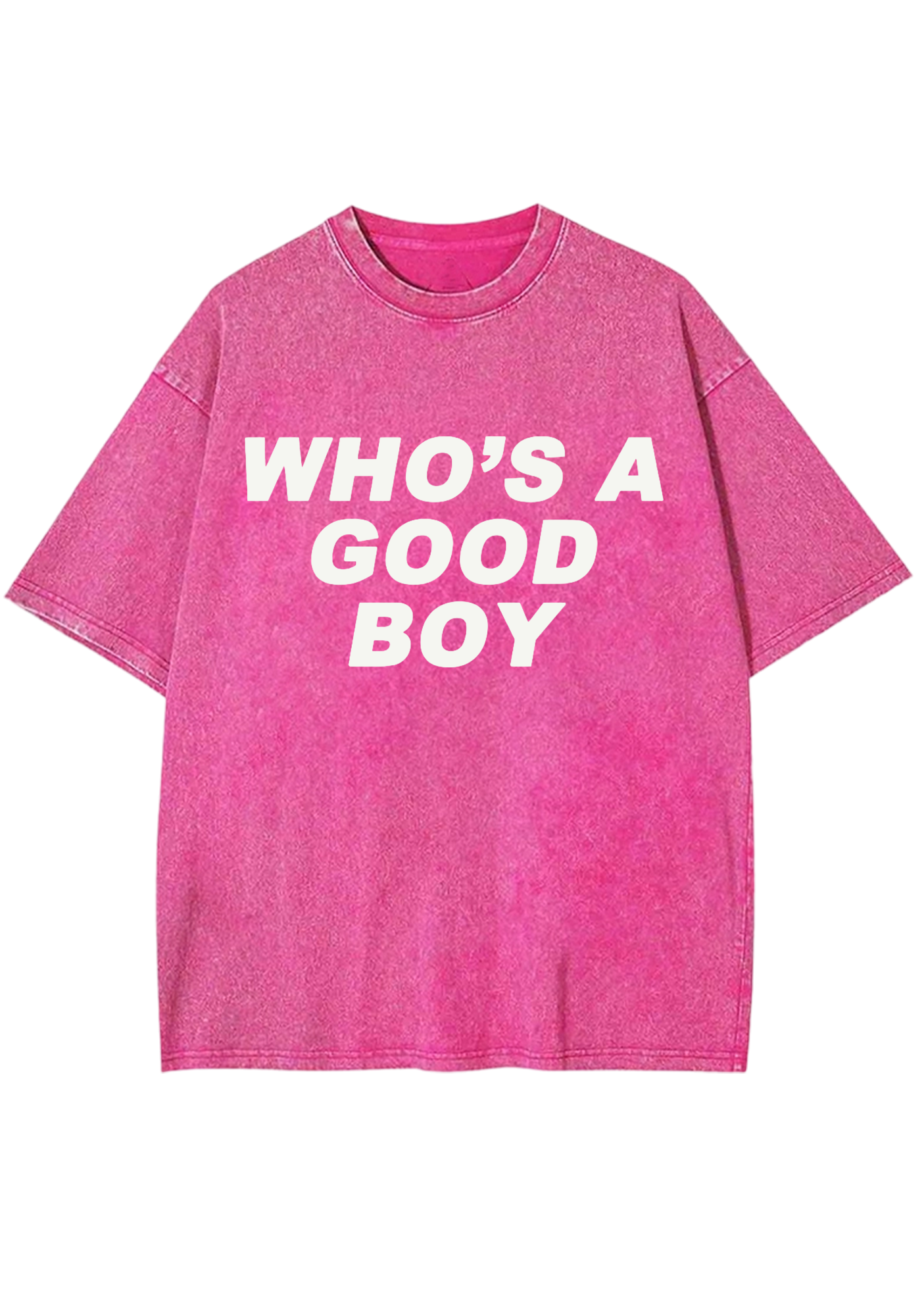 Who's A Good Boy Y2K Washed Tee
