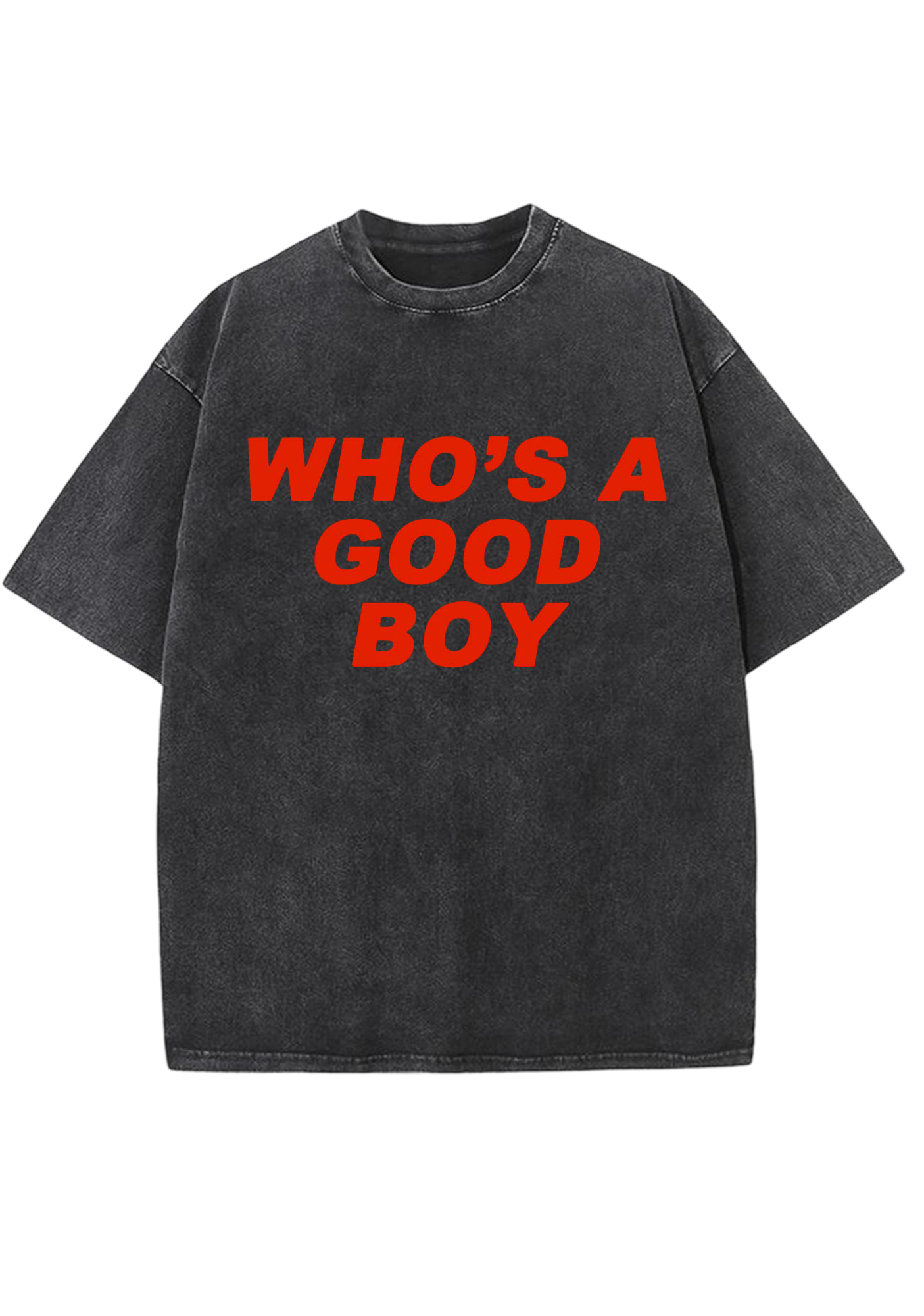 Who's A Good Boy Y2K Washed Tee