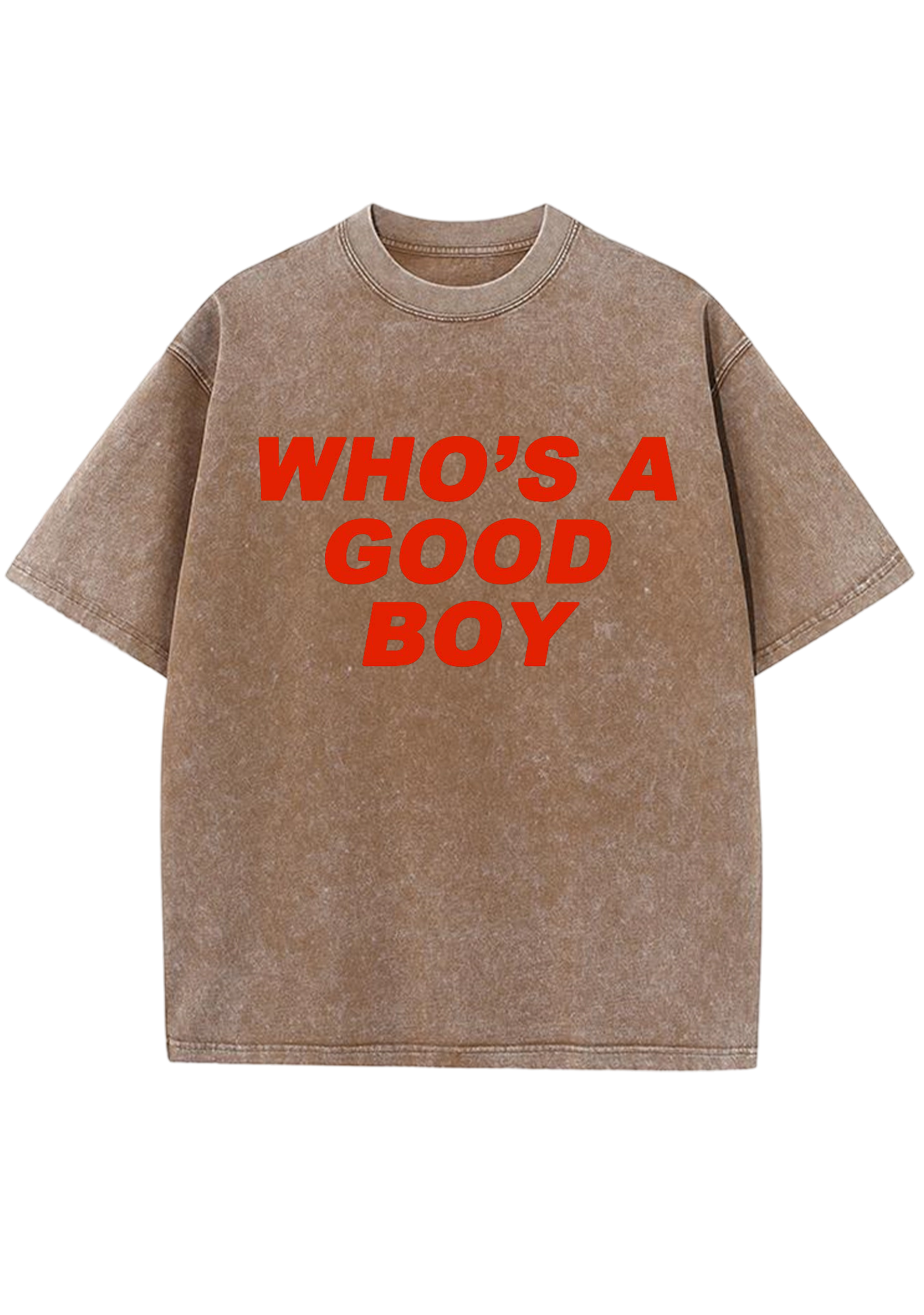 Who's A Good Boy Y2K Washed Tee