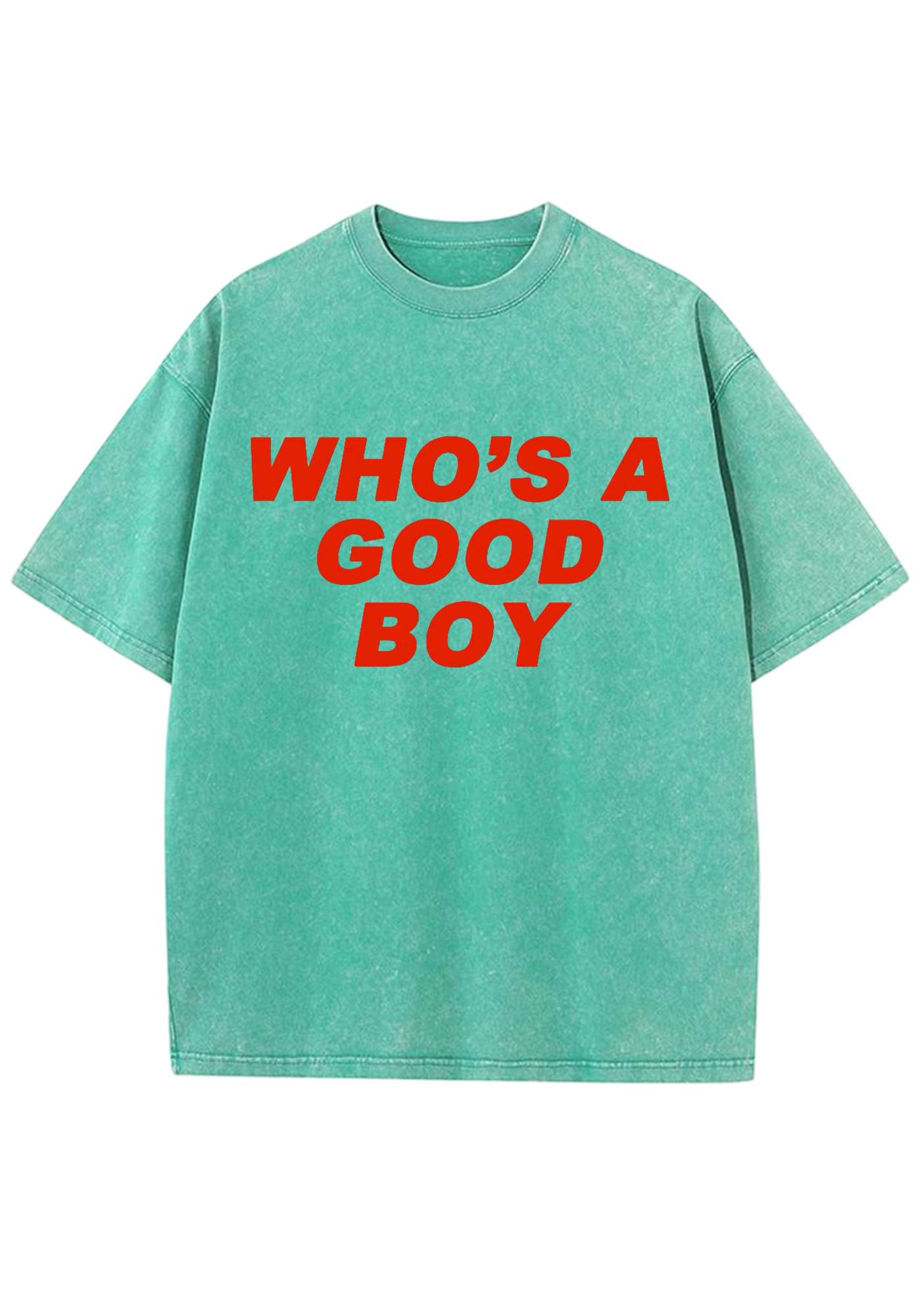 Who's A Good Boy Y2K Washed Tee
