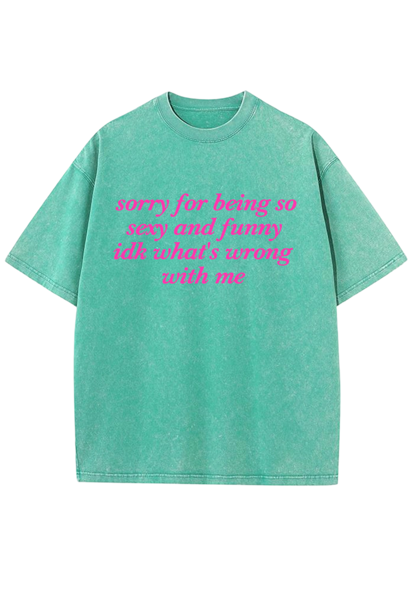 Sorry For Being So Sexy And Funny Y2K Washed Tee