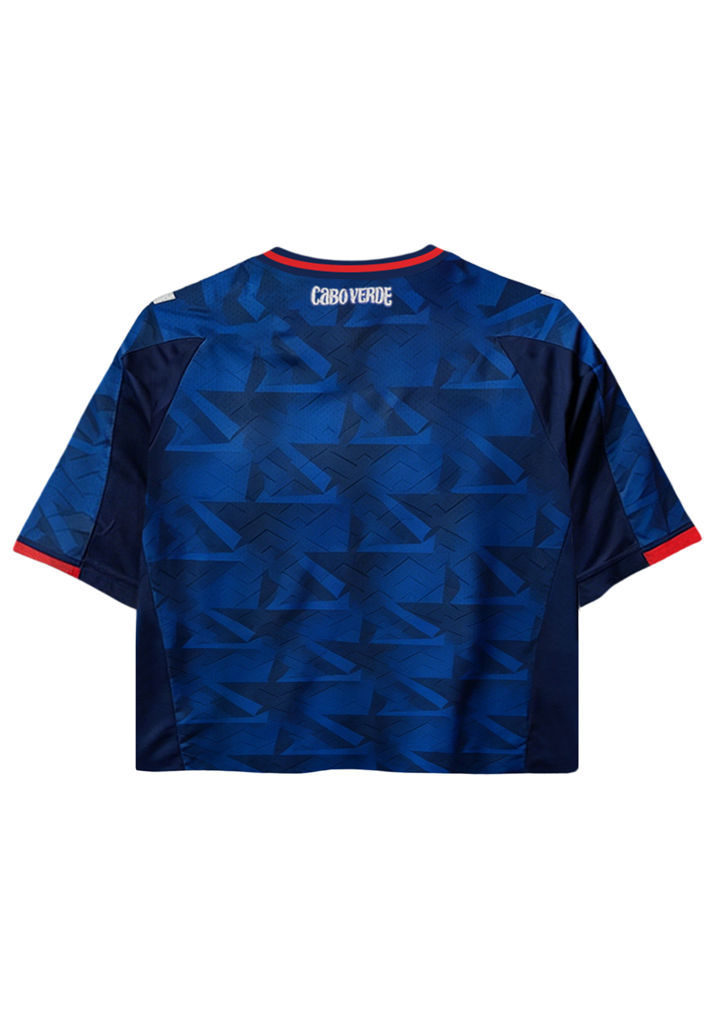 Norway Country Cropped Mesh Jersey Shirt