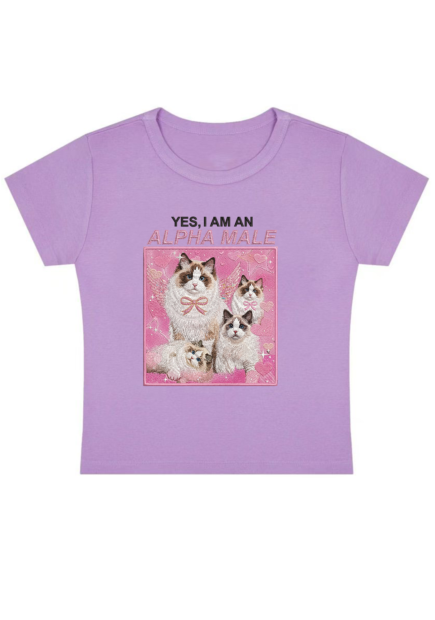 Yes, I Am An Alpha Male Embroidery Y2k Baby Tee