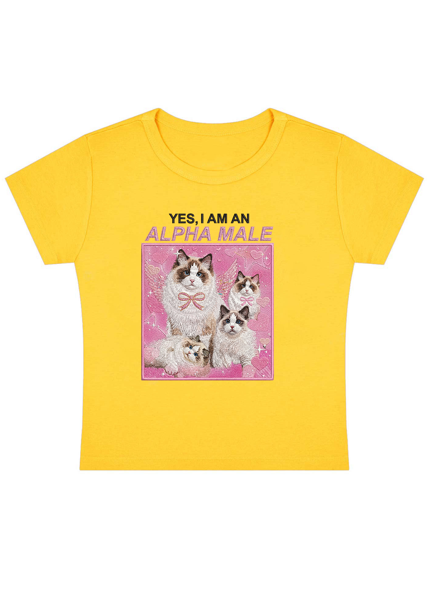 Yes, I Am An Alpha Male Embroidery Y2k Baby Tee