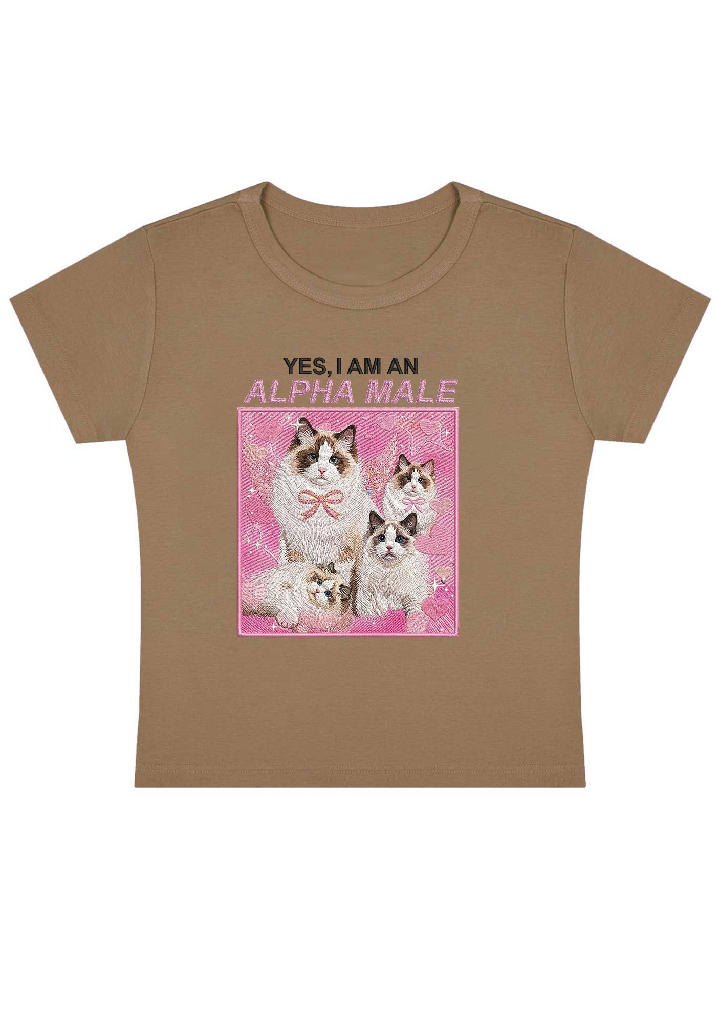 Yes, I Am An Alpha Male Embroidery Y2k Baby Tee