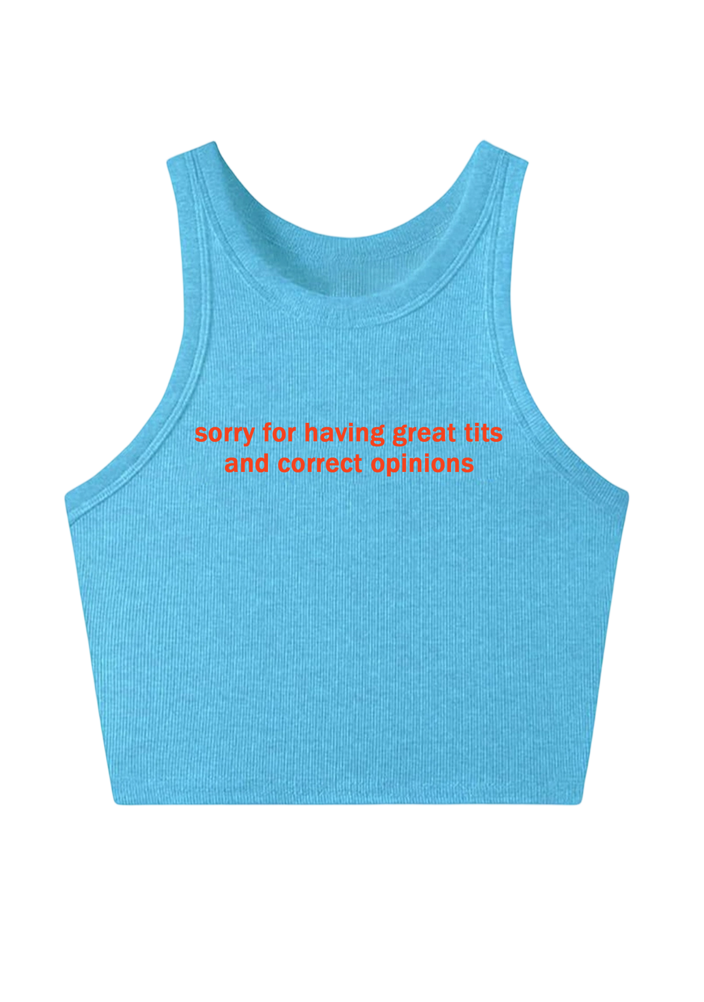 Sorry For Having Great Txxs And Correct Opinions Y2K Crop Tank Top