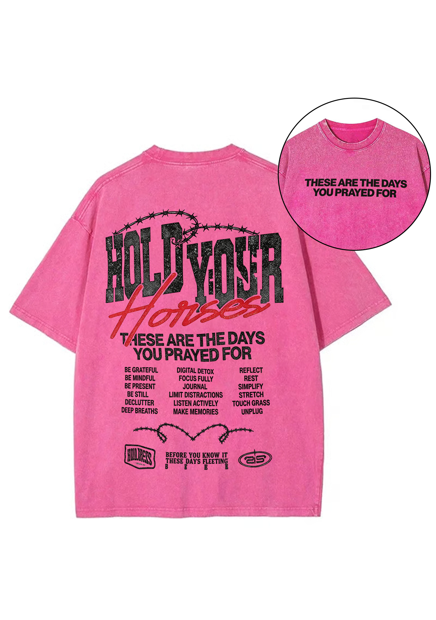 Hold Your Horses Washed Tee