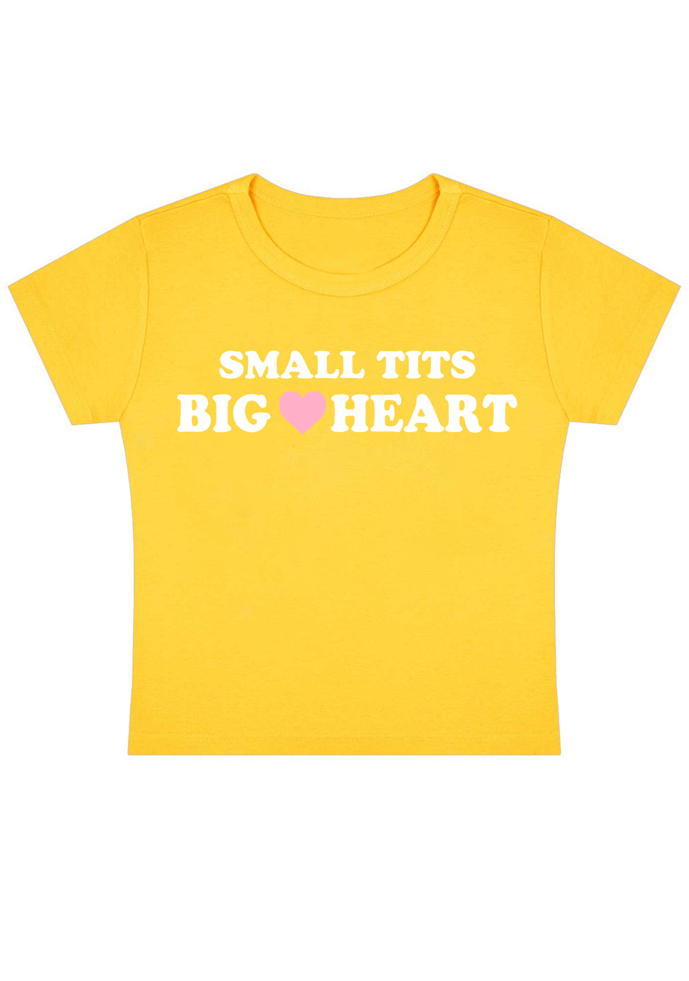 Small Tits Big Heart Y2K Baby Tee
