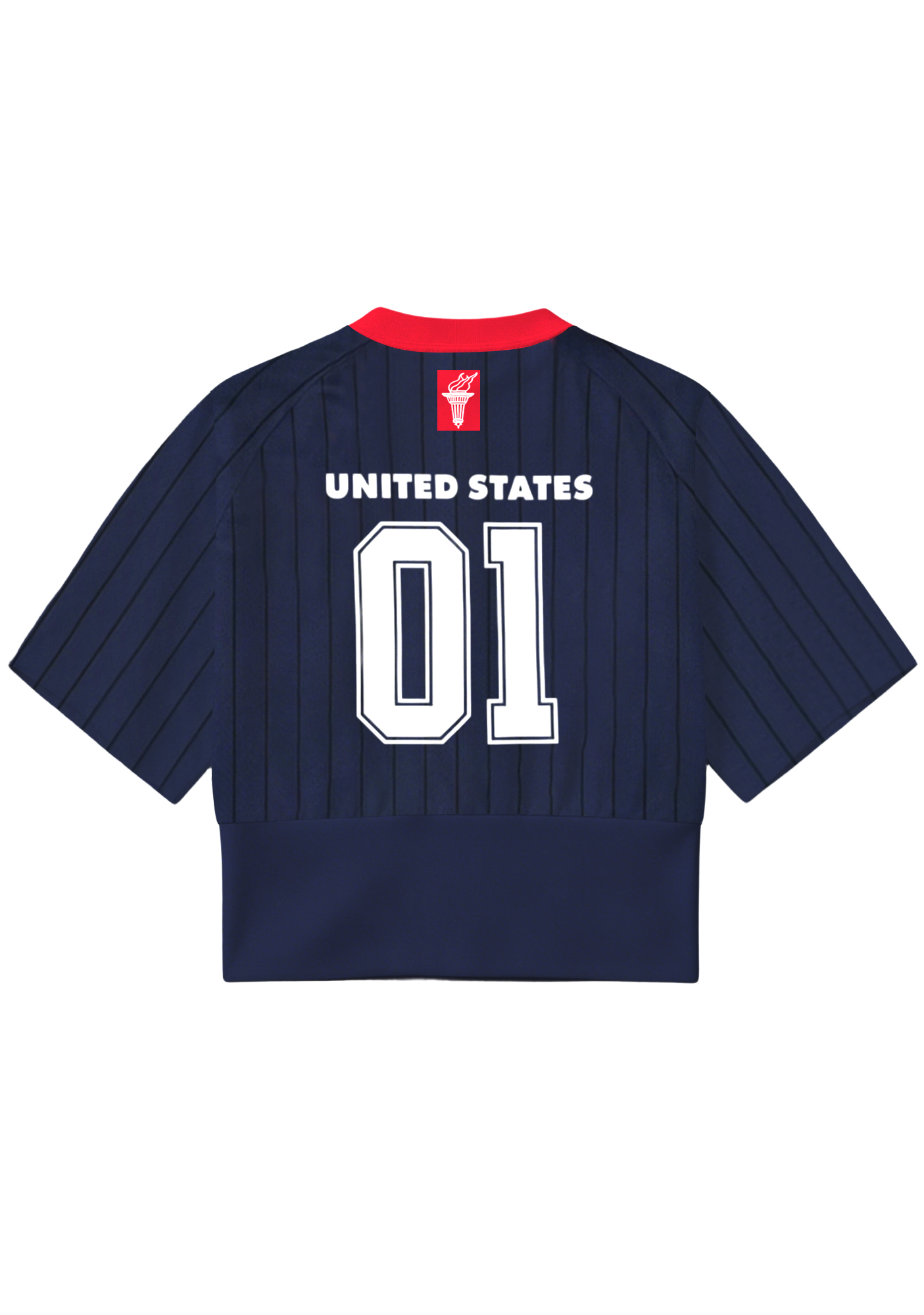 Navy USA V-Neck Cropped Sporty Jersey