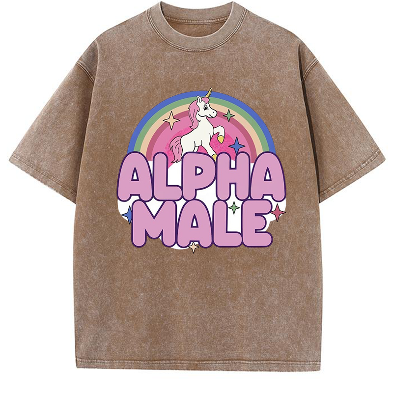 Alpha Male Y2K Washed Tee