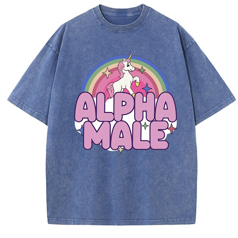 Alpha Male Y2K Washed Tee