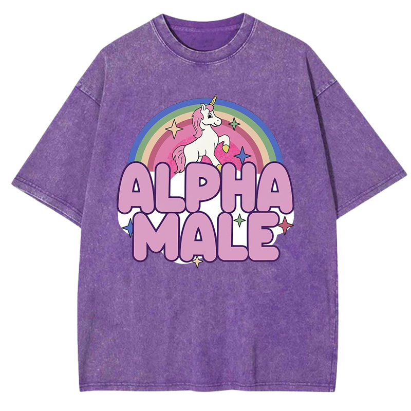 Alpha Male Y2K Washed Tee