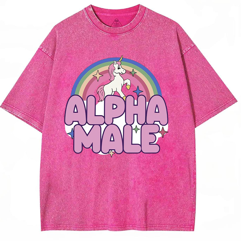 Alpha Male Y2K Washed Tee
