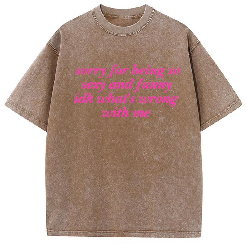 Sorry For Being So Sexy And Funny Y2K Washed Tee