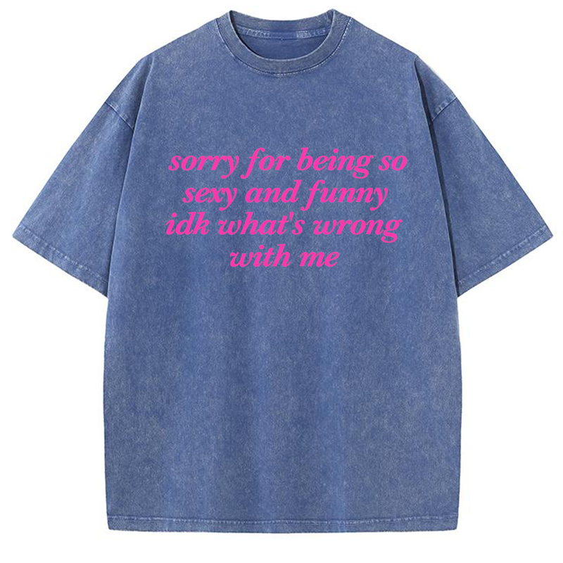 Sorry For Being So Sexy And Funny Y2K Washed Tee