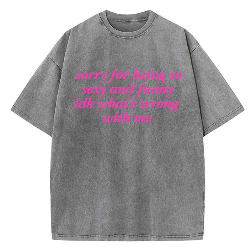 Sorry For Being So Sexy And Funny Y2K Washed Tee