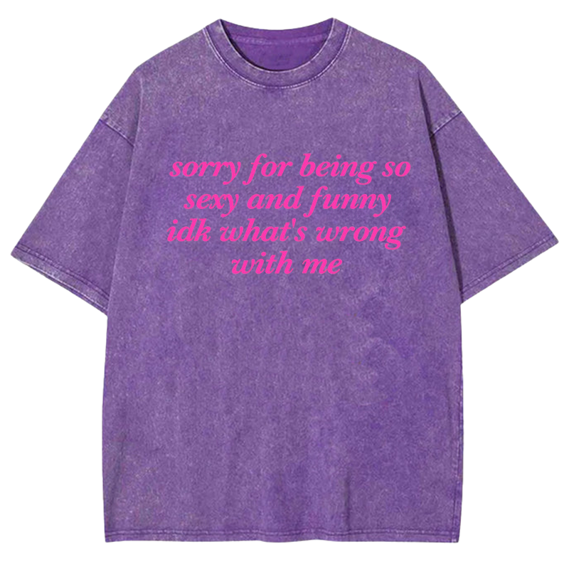 Sorry For Being So Sexy And Funny Y2K Washed Tee