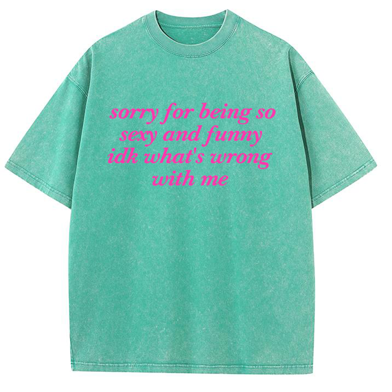 Sorry For Being So Sexy And Funny Y2K Washed Tee