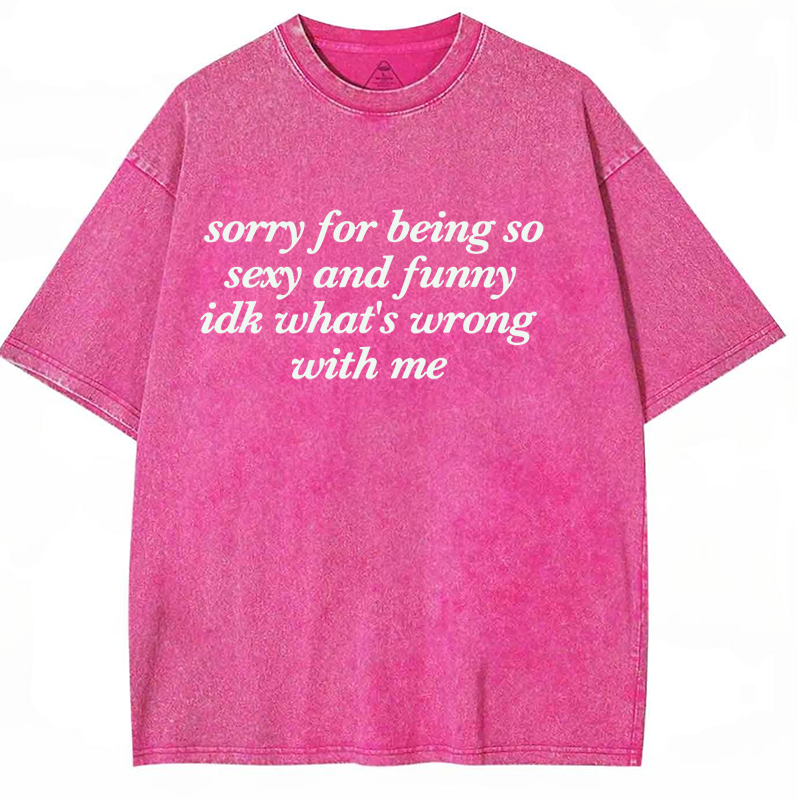 Sorry For Being So Sexy And Funny Y2K Washed Tee