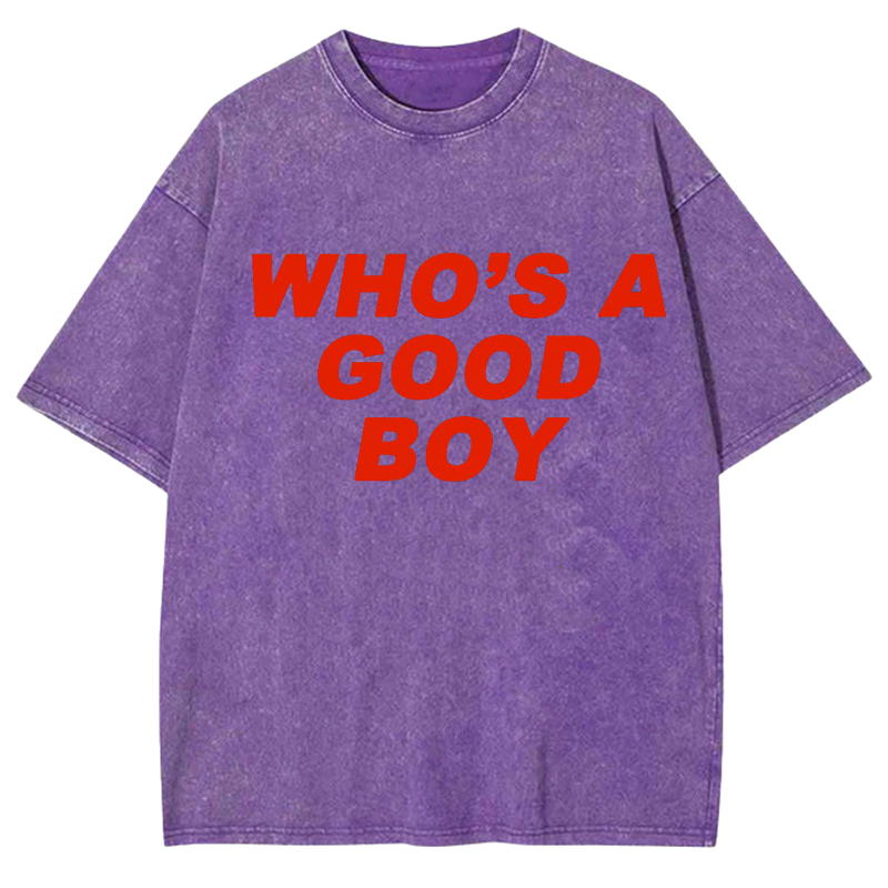 Who's A Good Boy Y2K Washed Tee
