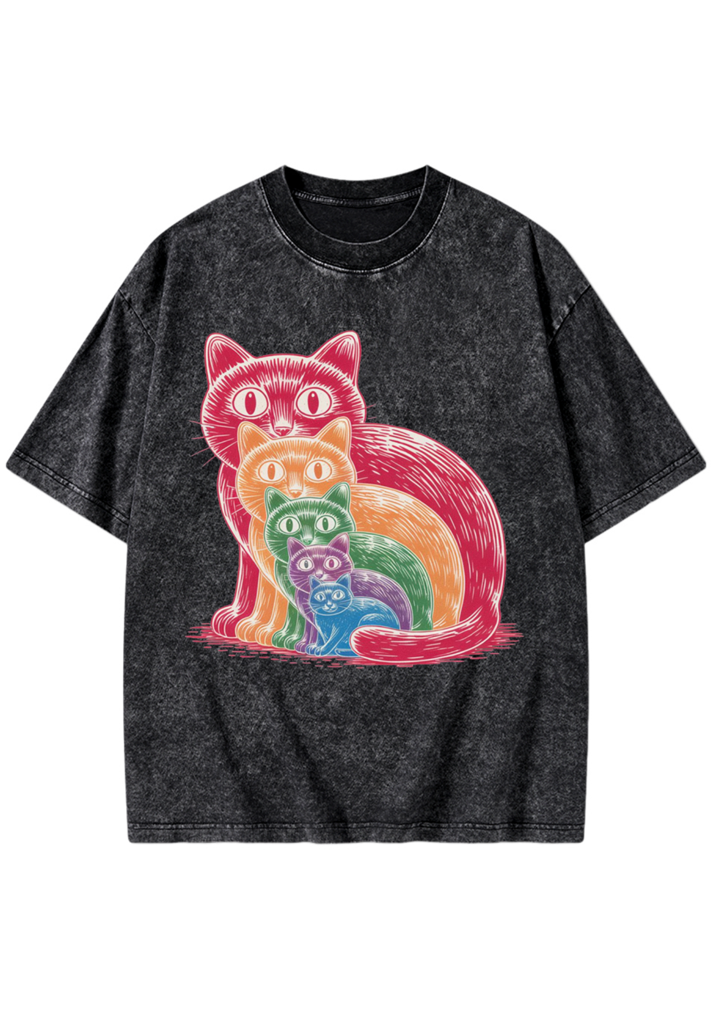 Pride Cat Washed T-Shirt