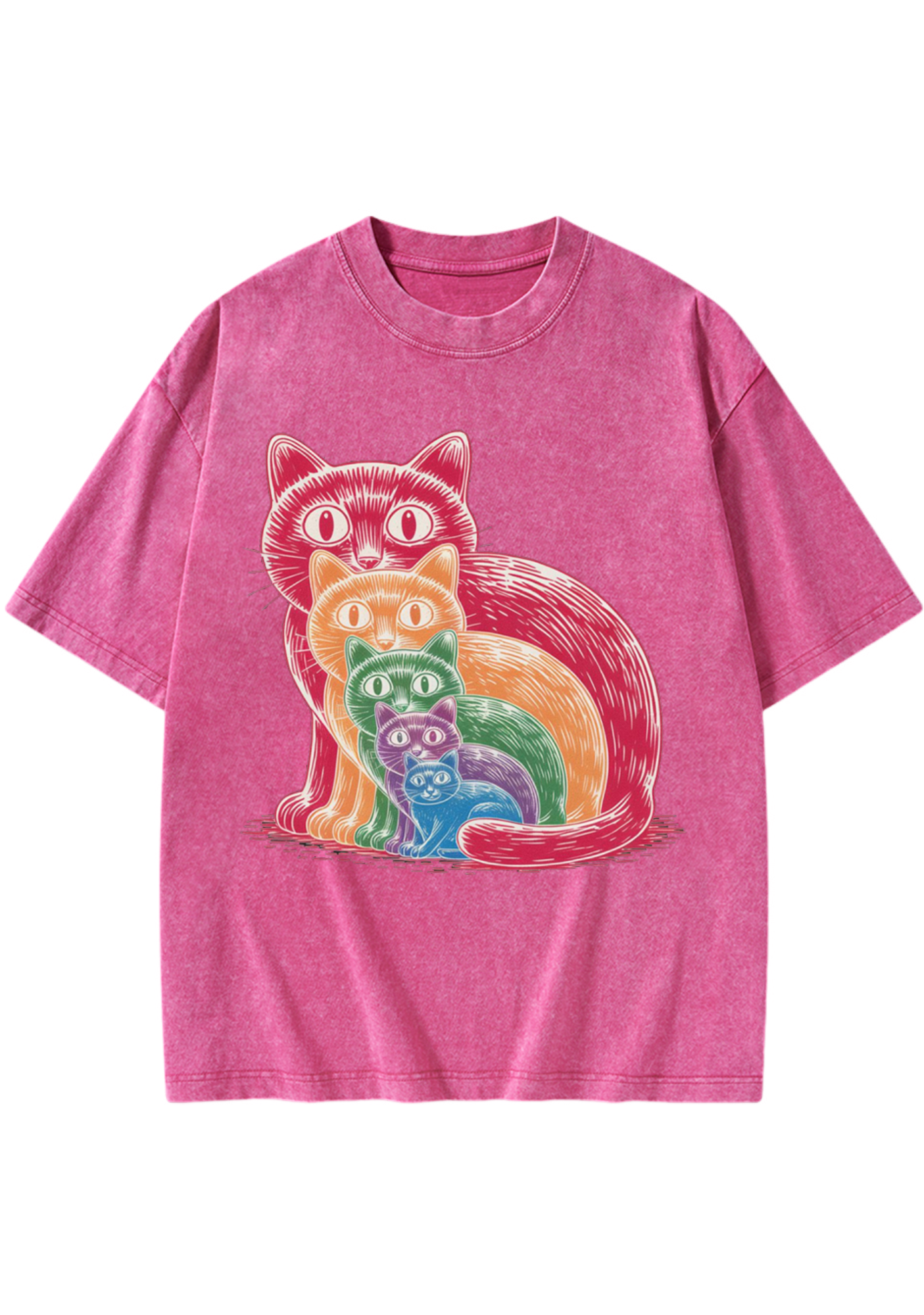 Pride Cat Washed T-Shirt