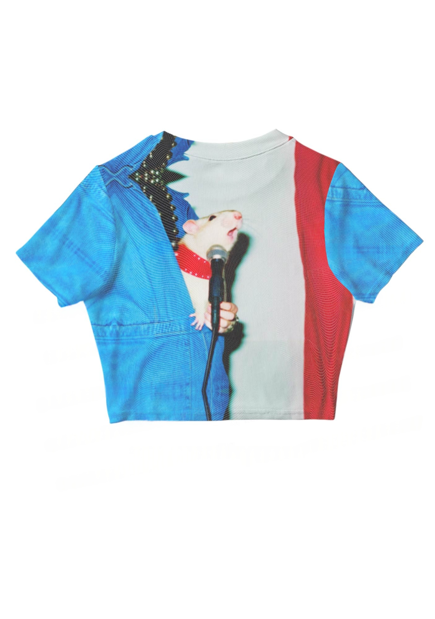 Retro Rat Performer Y2K Mesh Crop Top