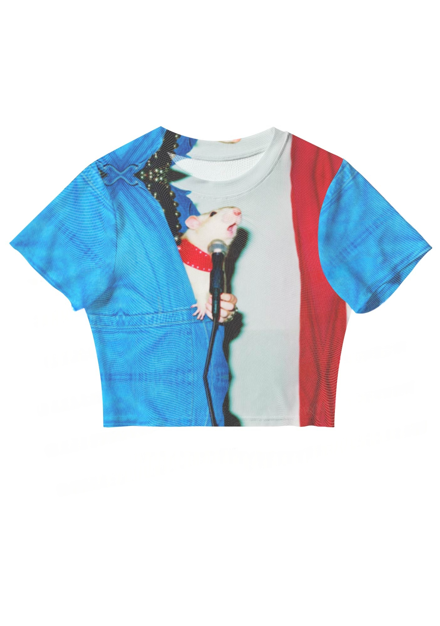 Retro Rat Performer Y2K Mesh Crop Top