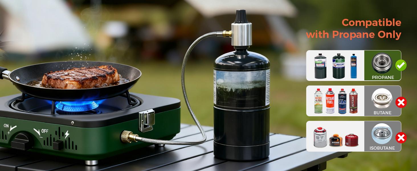 BIG HORN OUTDOORS 2 Burner Propane Camping Stove, Portable Camp Stove, Folding Gas Stove, Includes Frying Pan & Carry Bag for Camping, Emergency Use and Outdoor Cooking