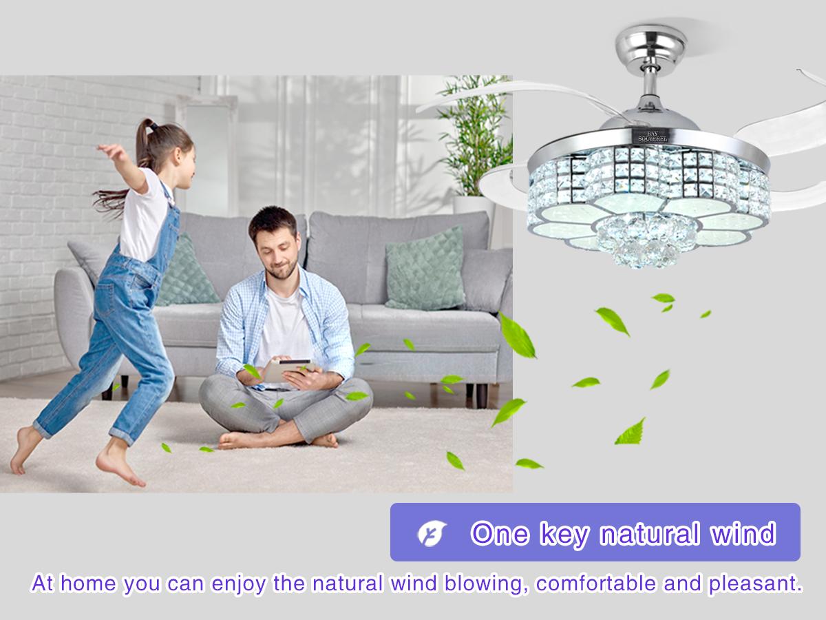 BAYSQUIRREL Retractable Crystal Ceiling Fan with Speaker, Remote/APP Control, 6-Speed Reversible RGB Multicolored Light, Adjustable LEDs, Colorful Lights, Color Changing Nightlight, Room Decor Gift