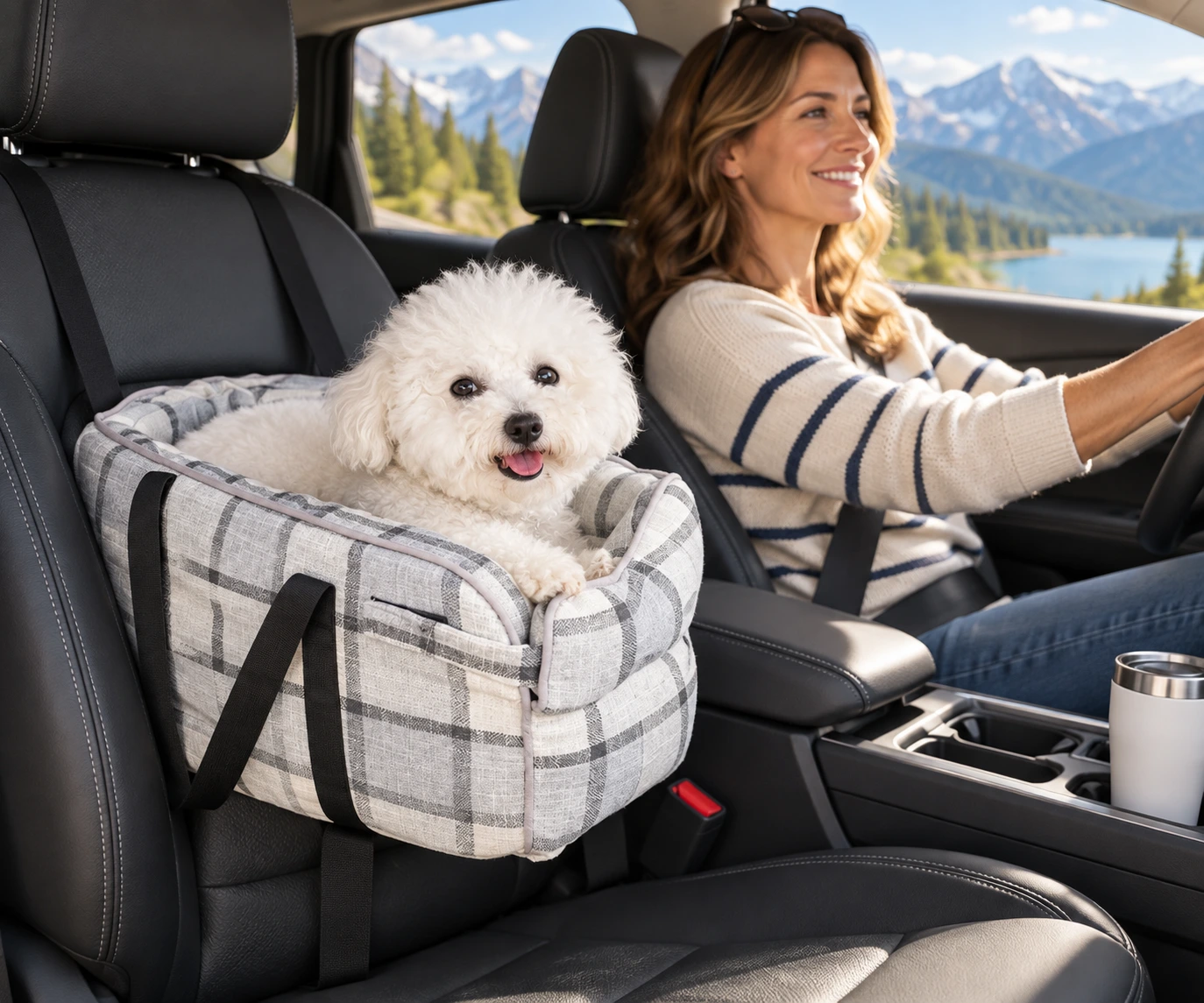 Small dog riding in the RoadNest plaid pet car-seat carrier