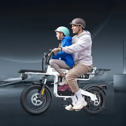 Bicicleta eléctrica Coswheel 48V 20AH Bicicletas eléctricas para adultos Bicicletas de montaña Ebikes Neumáticos gruesos Ciclismo Freno de aceite para exteriores Bicicleta eléctrica