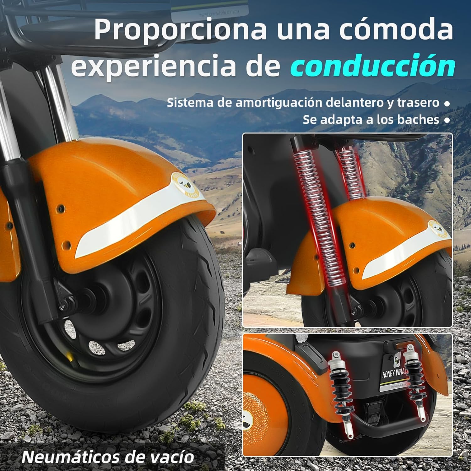 HONEYWHALE V4 Moto Bicicleta Eléctrica para Adultos, Motor de 850W-MAX, Velocidad Máxima 30KM/H, Batería 20AH, Autonomía 50KM, Triciclo Electrico, Viajes en Familia