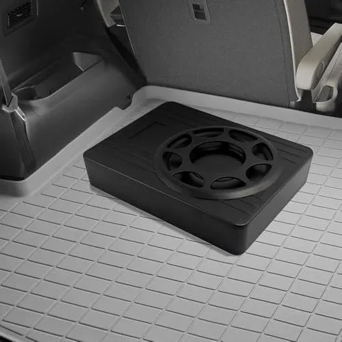 Subwoofer para automóvil de 10 pulgadas y 800 W, subwoofer delgado debajo del asiento para automóvil accionado, alto/bajo