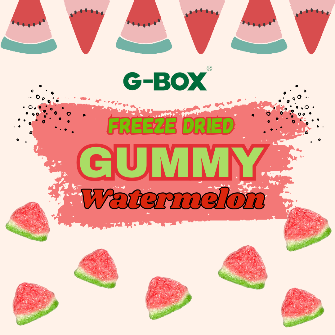 G-BOX FREEZE DRIED WATERMELON GUMMY CANDY-G-BOX