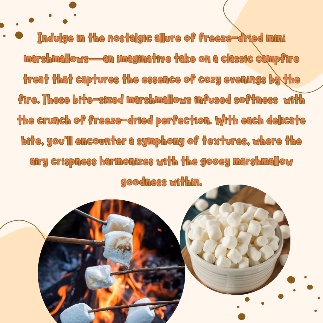 G-BOX FREEZE DRIED CARAMELIZED MINI MARSHMALLOWS-G-BOX