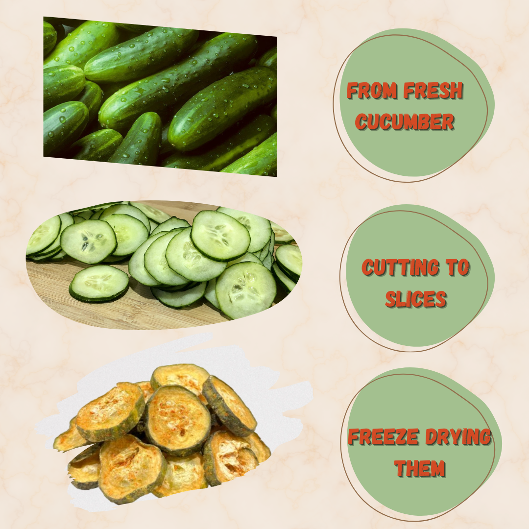 G-BOX FREEZE DRIED CUCUMBERS (CHAMOY FLAVOR)-G-BOX