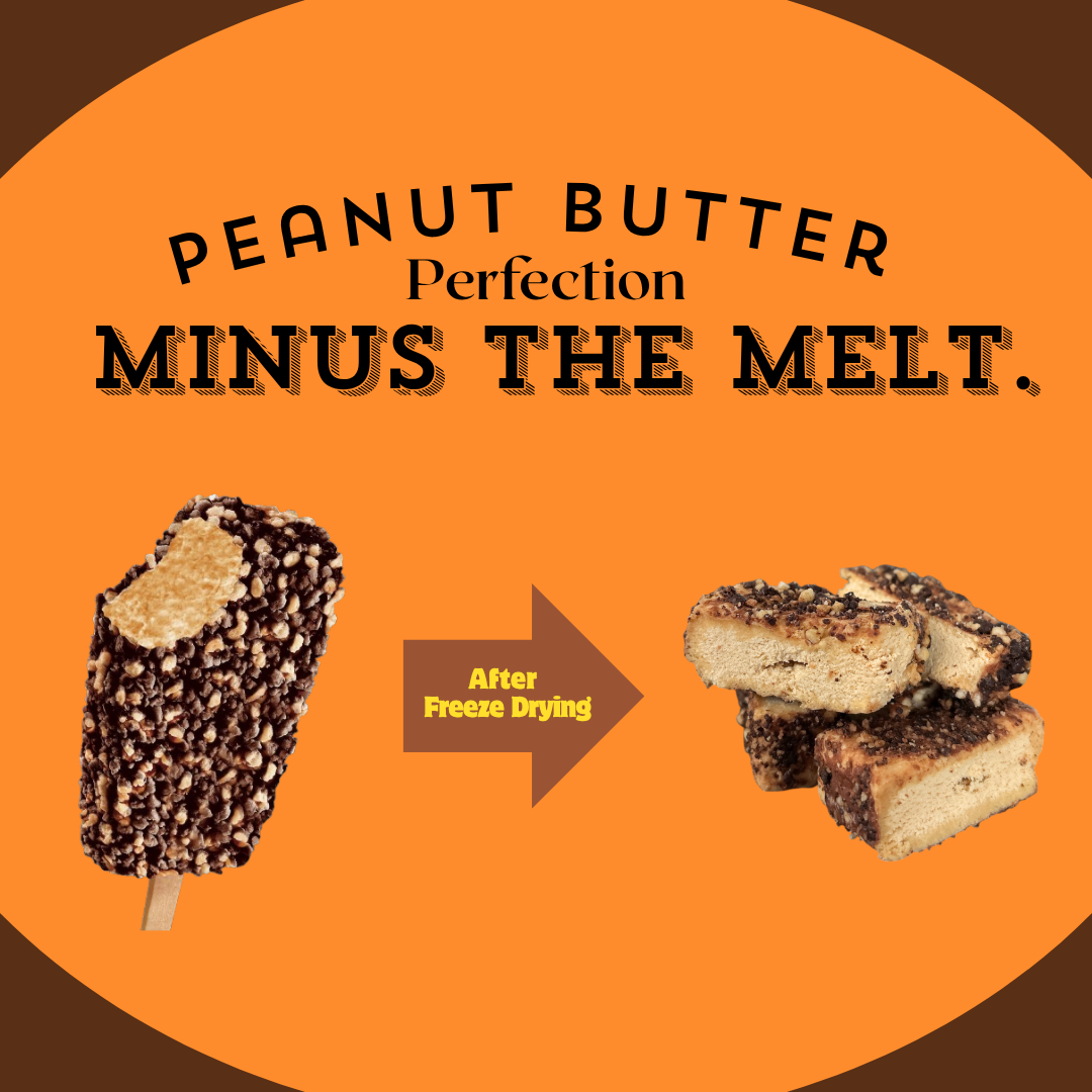 G-BOX FREESES - FREEZE DRIED PEANUT BUTTER ICE CREAM-G-BOX
