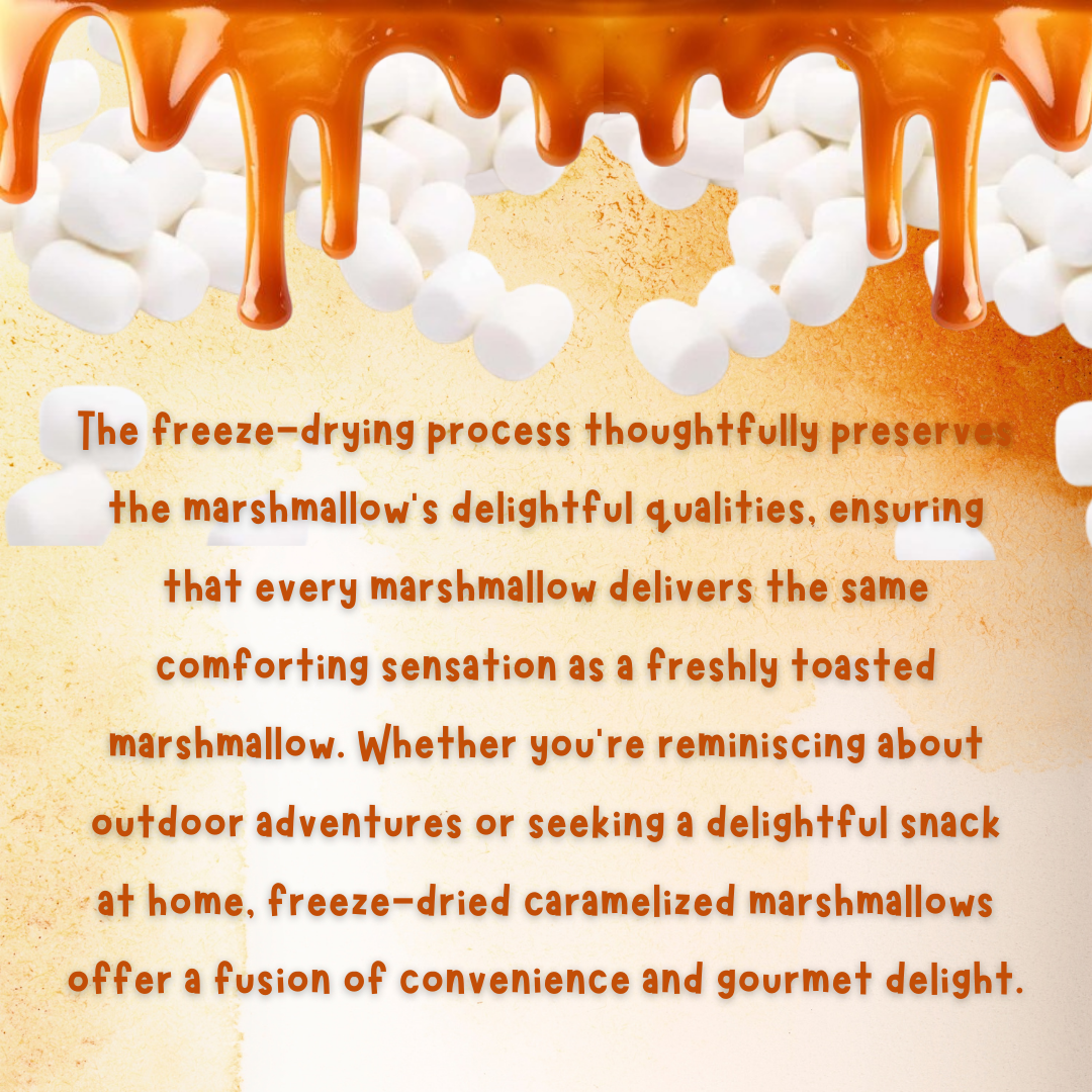 G-BOX FREEZE DRIED CARAMELIZED MINI MARSHMALLOWS-G-BOX