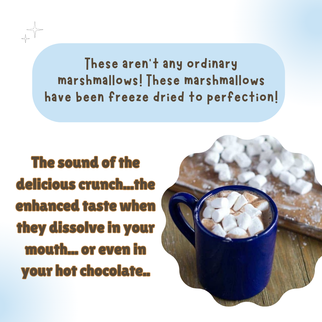 G-BOX FREEZE DRIED MARSHMALLOWS-G-BOX