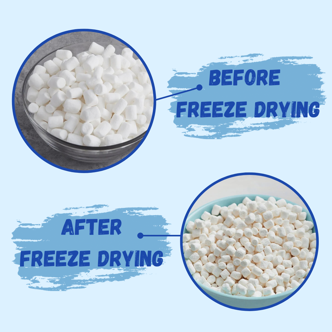 G-BOX FREEZE DRIED MARSHMALLOWS-G-BOX