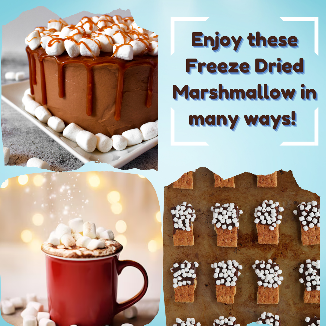 G-BOX FREEZE DRIED MARSHMALLOWS-G-BOX