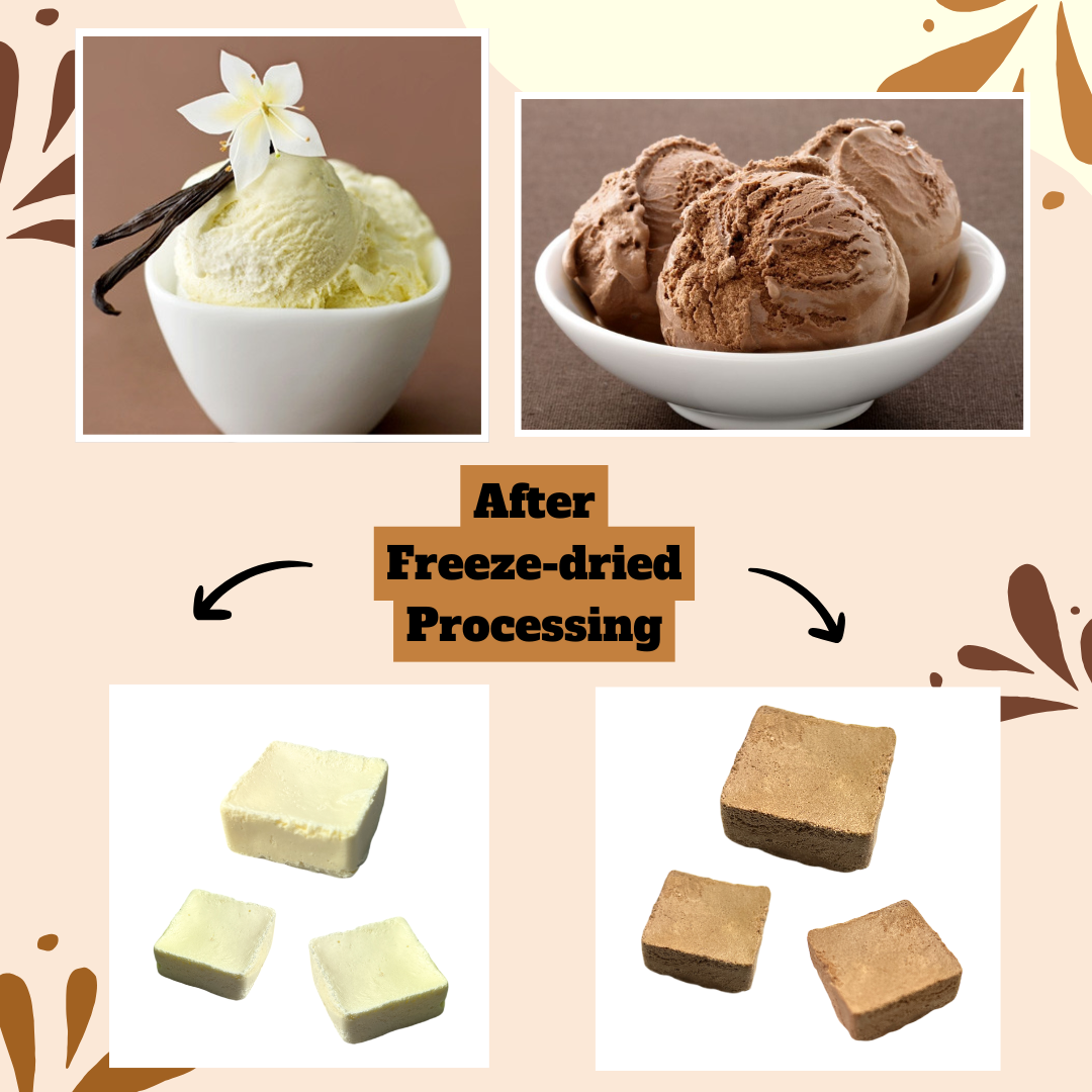 G-BOX FREEZE DRIED ICE CREAM CUBES (VANILLA)-G-BOX